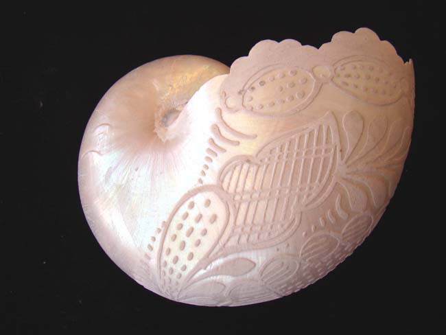 A 19th century Chinese carved Nautilus shell